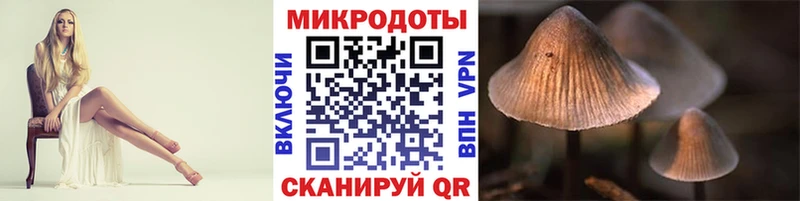 Галлюциногенные грибы Psilocybe  Иноземцево 